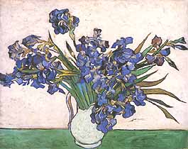 Vincent van Gogh, "Irises (Iris)", 1890, Metropolitan Museum of Art, New York