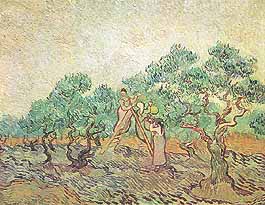 Vincent van Gogh, "Olive Orchard (Uliveto)", 1889, National Gallery of Art, Washington (DC)