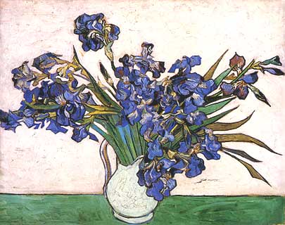 Vincent van Gogh, "Irises (Iris)", 1890, Metropolitan Museum of Art, New York (NY)