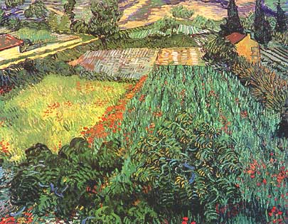 Vincent van Gogh, "Campo con papaveri", 1889, Kunsthalle Bremen, Brema (Bremen)